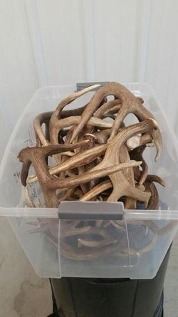 30 lbs net weight of brown Canadian sheds ranging from 50's and 60's