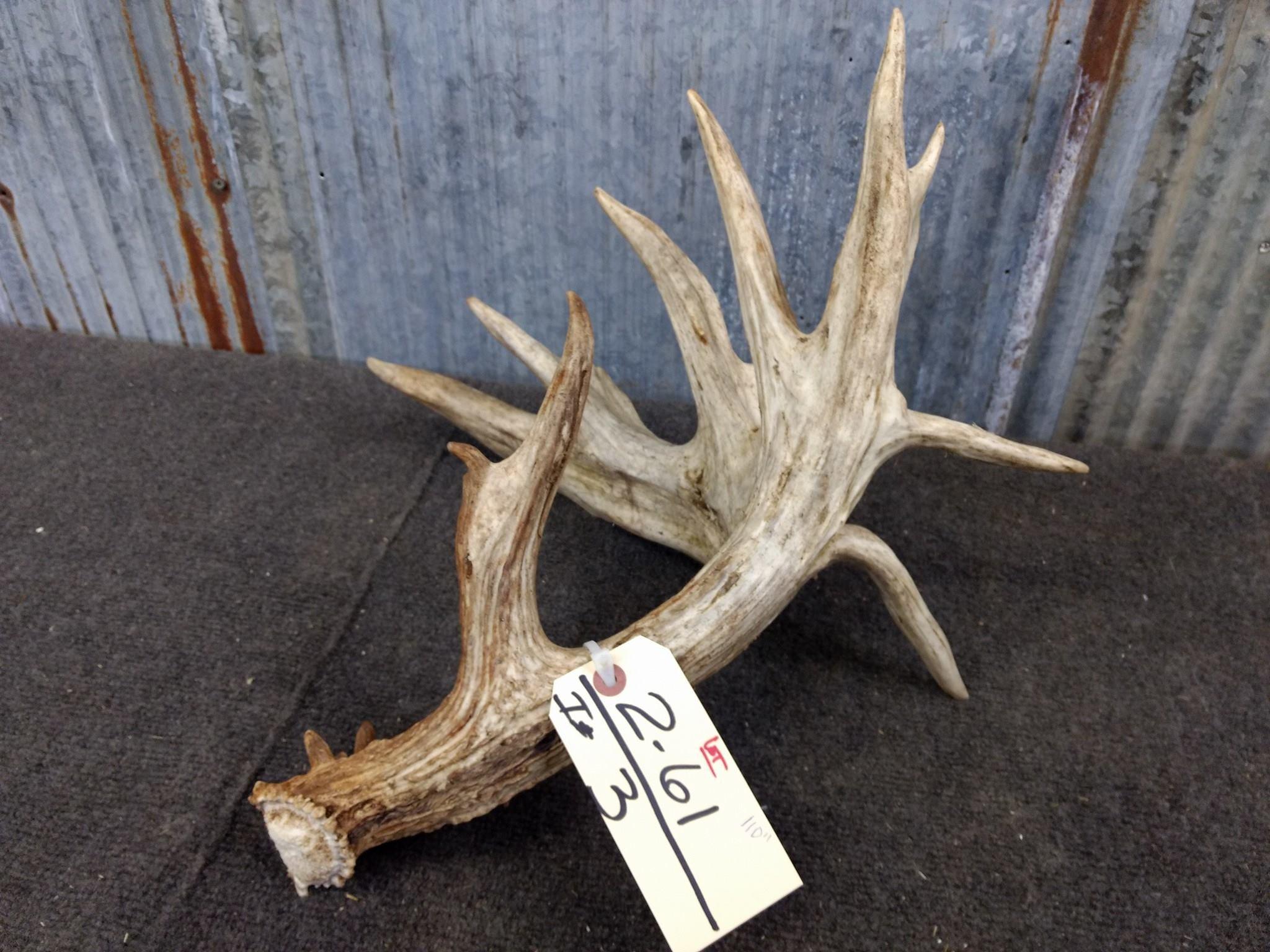 110" Whitetail Shed with flyers self stander preserve shed great color 