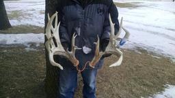 Set Of Gnarly 236" Preserve Whitetail Sheds Great Look