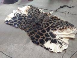 Soft Tanned Giraffe Back Hide Great Markings 97" wide X 95" " long