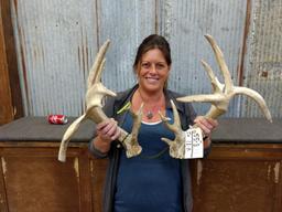 Whitetail Sheds Double Drop Tines Palmated Good Color Right 95" Left 94"