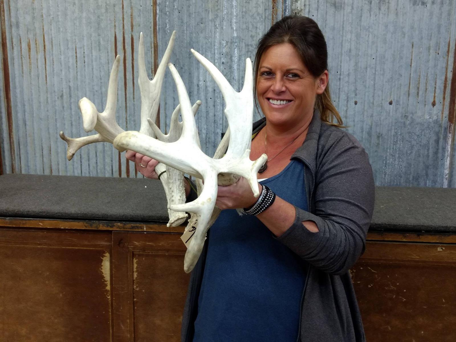 Whitetail Sheds With Drop Tines & Flyers Right 95" Left 99"