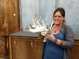 Pair Of Whitetail Sheds Great Color With Extras Right 81" Left 72"