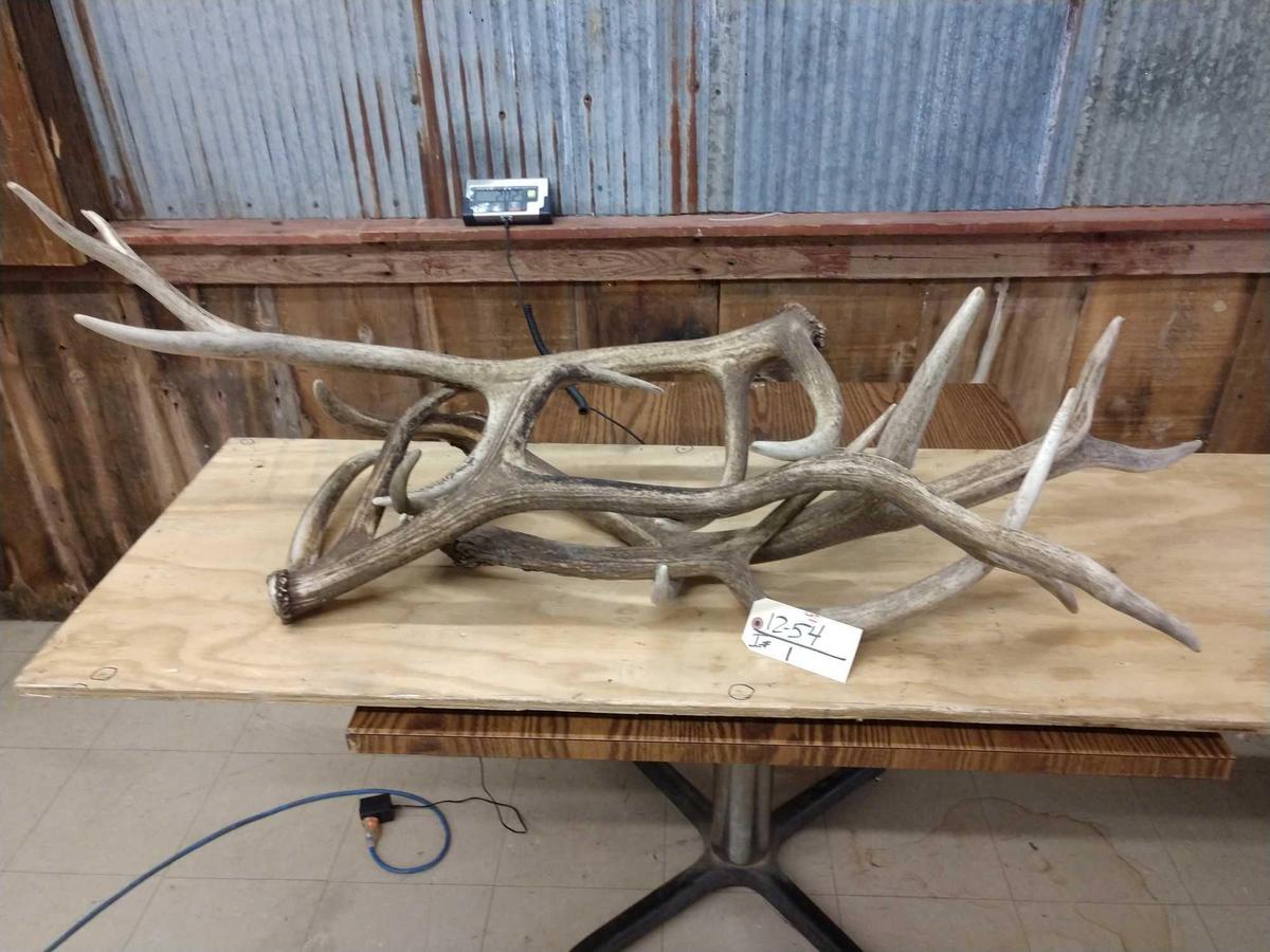 4 Elk Sheds 20lbs Total