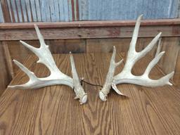 Main Frame 4x4 Whitetail Sheds