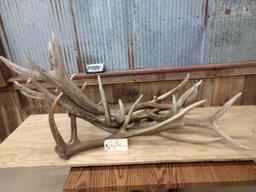 4 Elk Sheds 21.8 Lbs