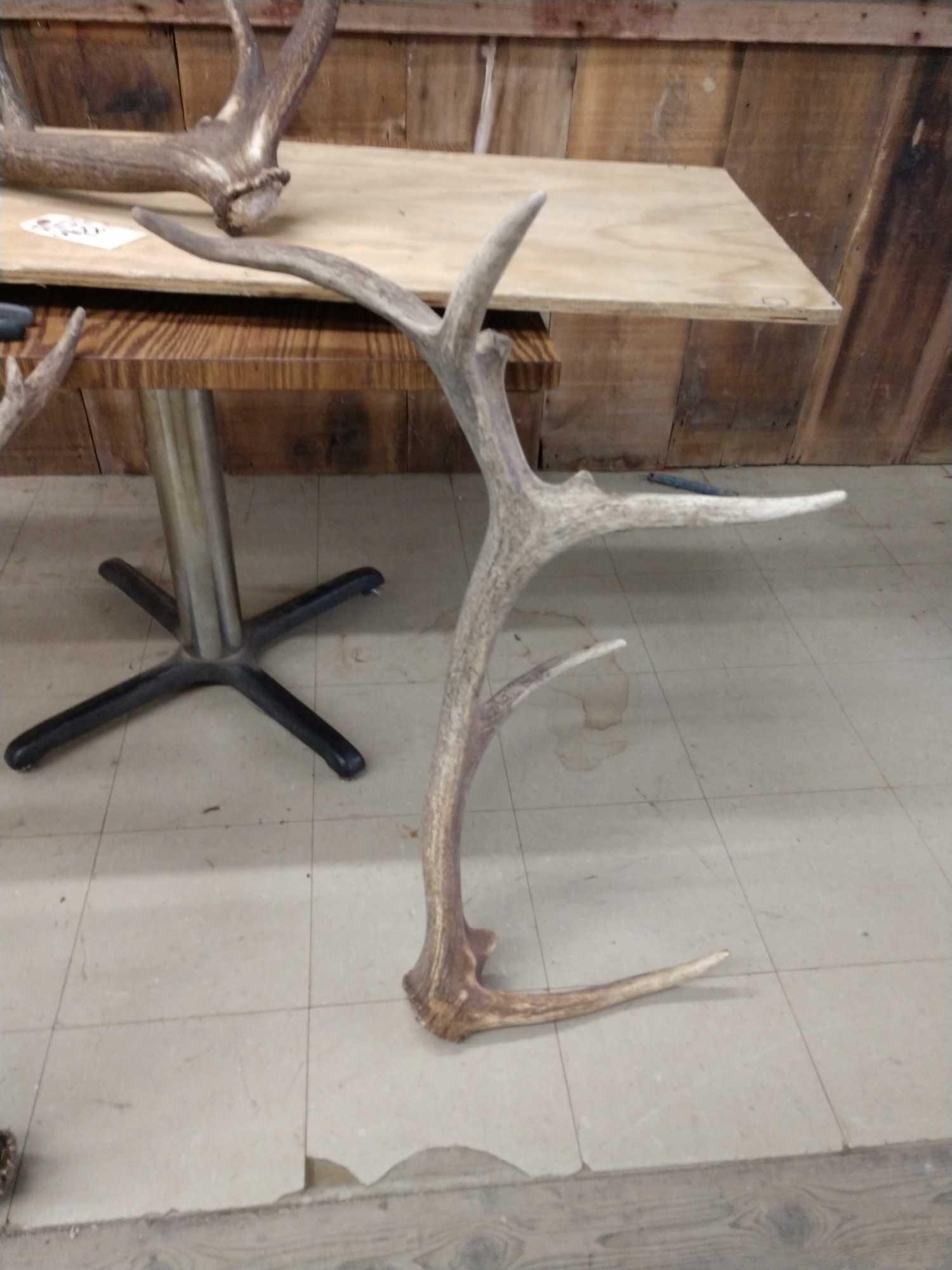 4 Elk Sheds 30lbs Net