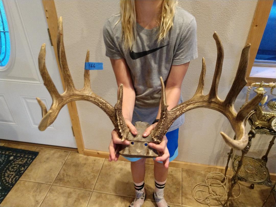 166" Wild Whitetail Rack