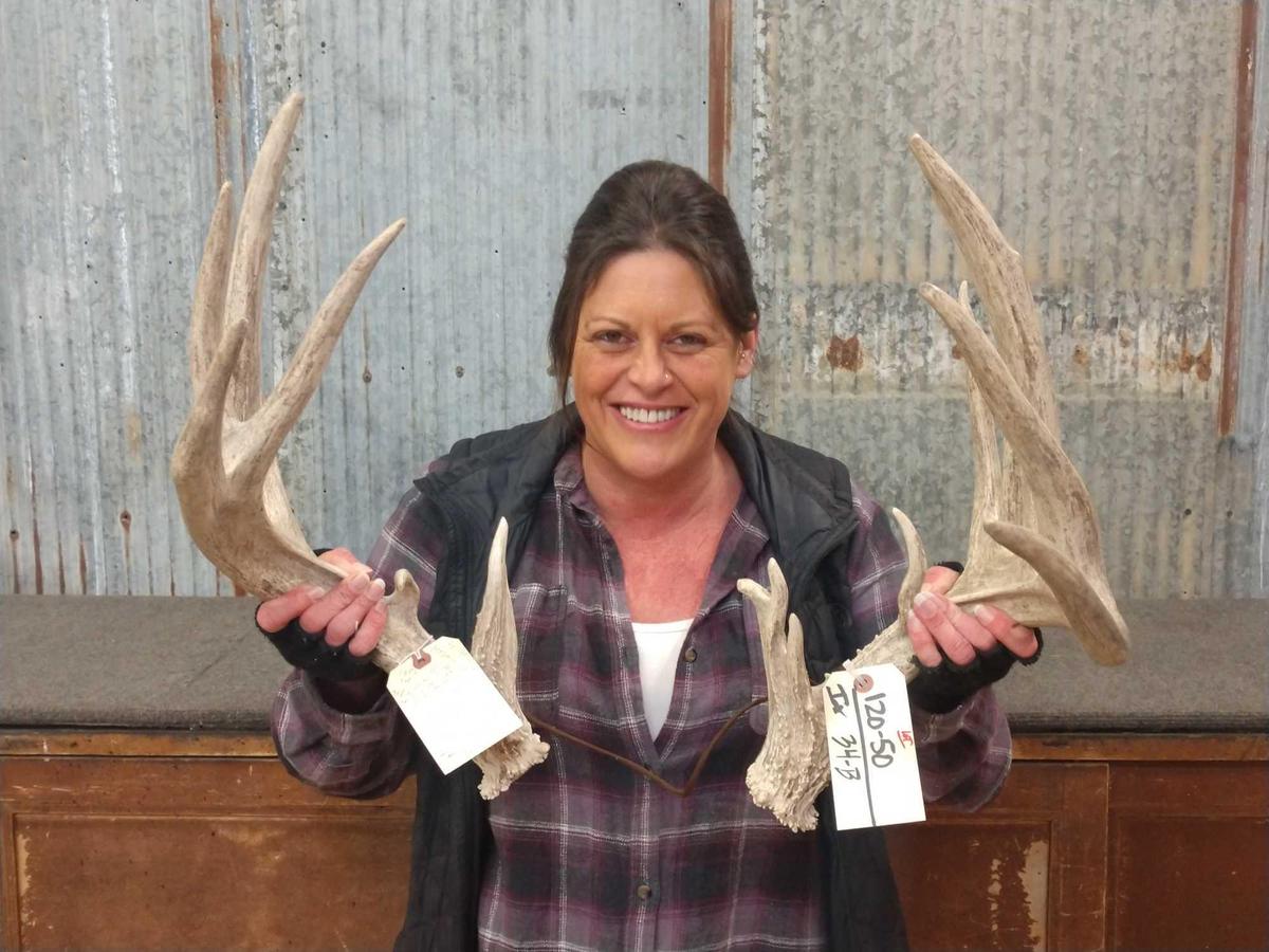 BIG Whitetail Sheds Great Typical Look