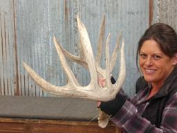 BIG Whitetail Sheds Great Typical Look