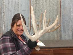 BIG Whitetail Sheds Great Typical Look