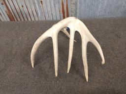 Main frame 4 point Whitetail Shed