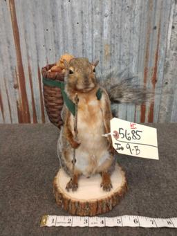 Full Body Mount Backpacking Squirrel