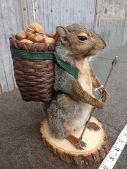 Full Body Mount Backpacking Squirrel