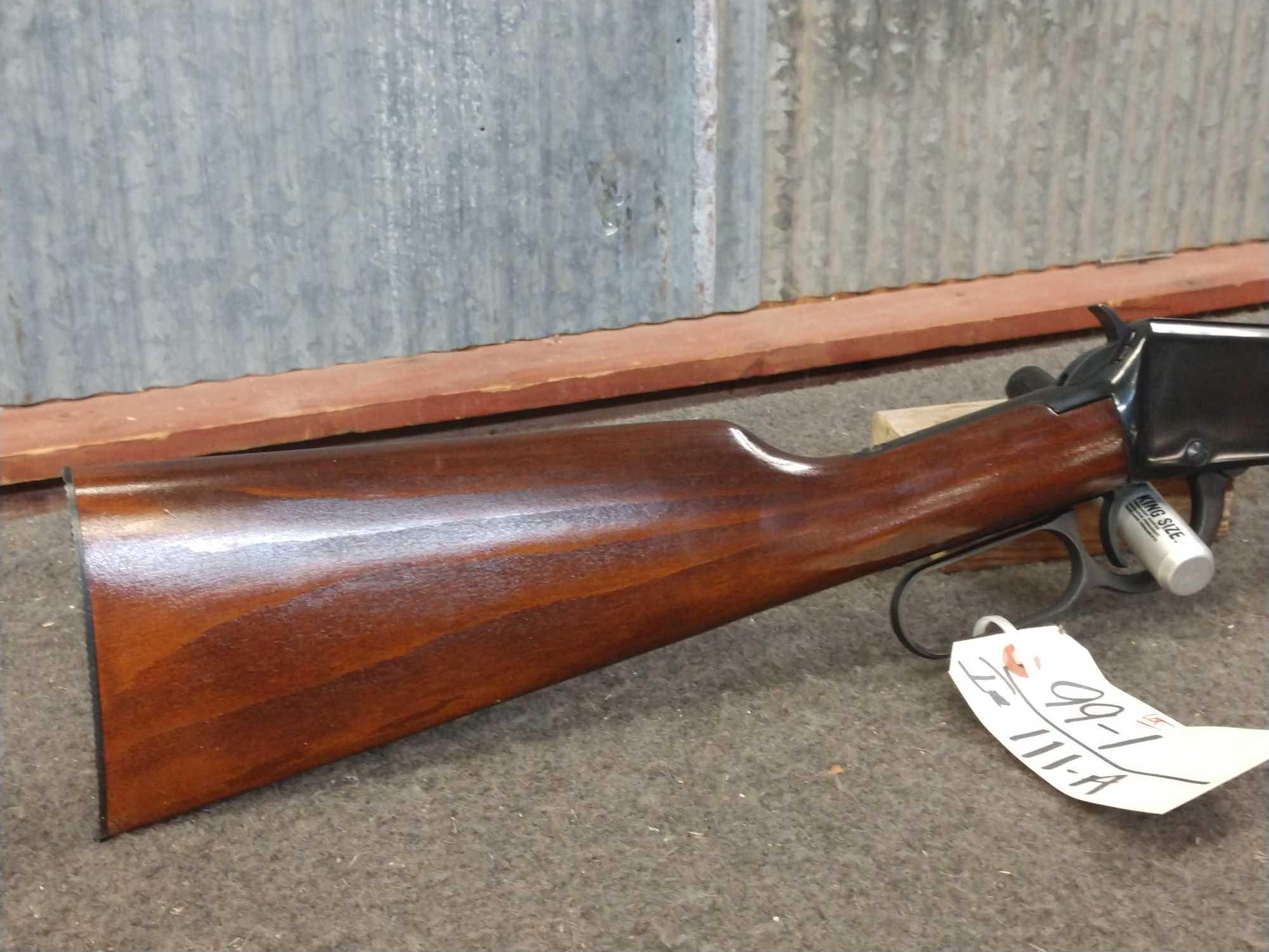 Iver Johnson Lever Action .22