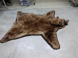 Black Bear Rug Brown Phase taxidermy