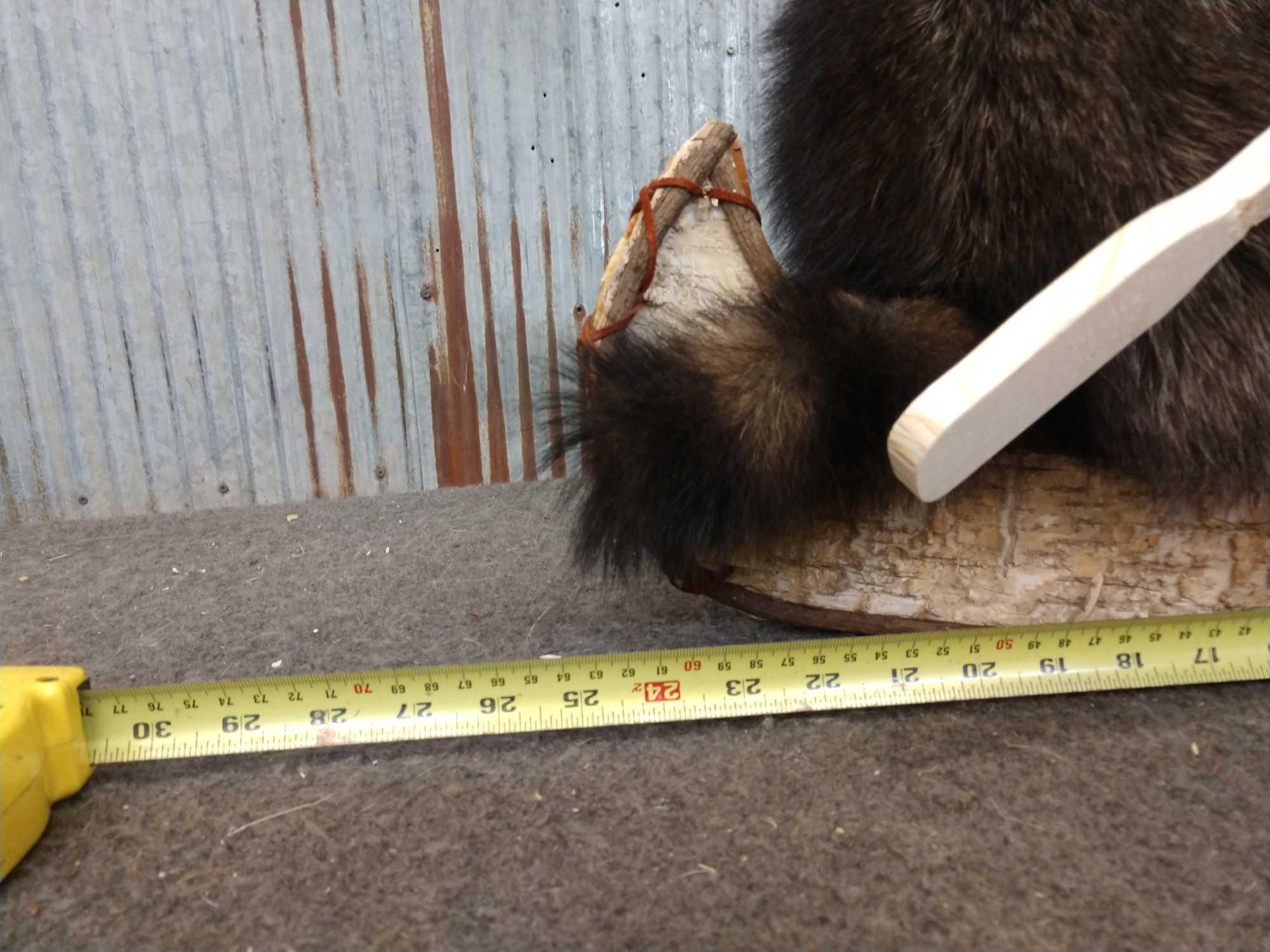 2 Raccoons In A Birch Bark Canoe