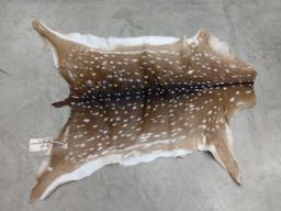 Axis Deer Soft Tanned Skin Taxidermy