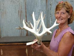 Crazy Nontypical Whitetail Shed Antlers