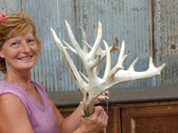 Crazy Nontypical Whitetail Shed Antlers