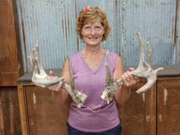 Main Frame 5x5 Whitetail Shed Antlers With Extras