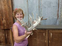 Main Frame 5x5 Whitetail Shed Antlers With Extras