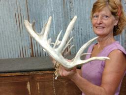 Crazy Nontypical Whitetail Shed Antlers