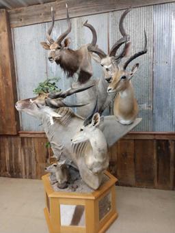 African Mountain multiple taxidermy mount