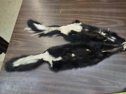 4 Soft Tanned Skunk Furs