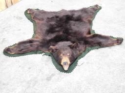 Black Bear Rug Taxidermy