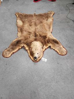 Color Phase Black Bear Rug Taxidermy