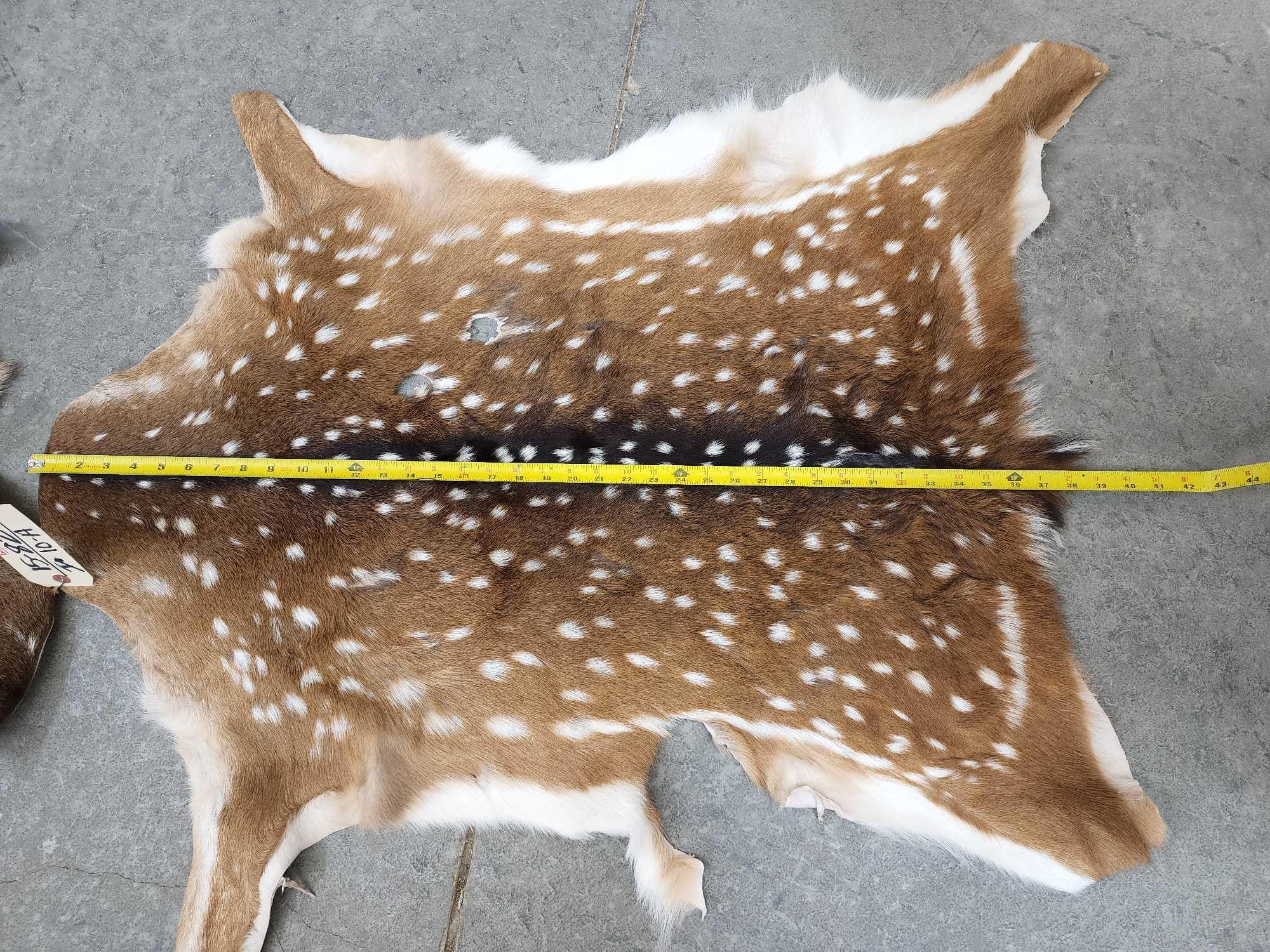 2 Axis Deer Soft Tanned Skins