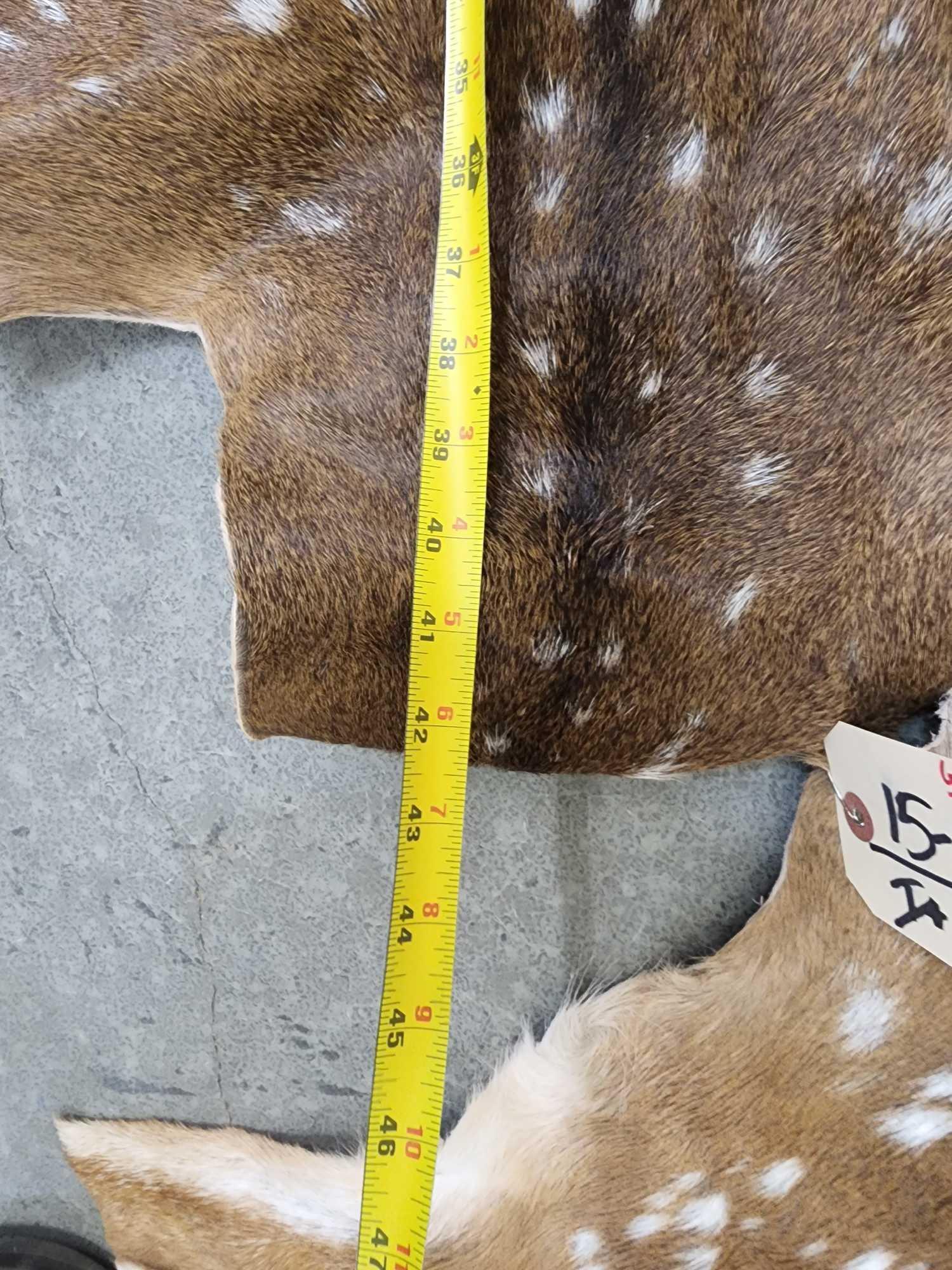 2 Axis Deer Soft Tanned Skins