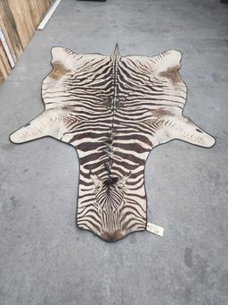 African Zebra Rug Taxidermy