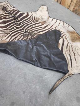 African Zebra Rug Taxidermy