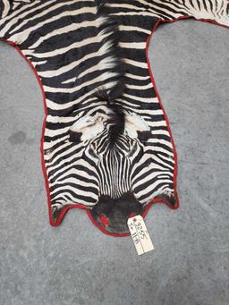 African Zebra Rug Taxidermy