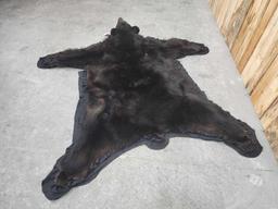 Big Black Bear Rug Taxidermy
