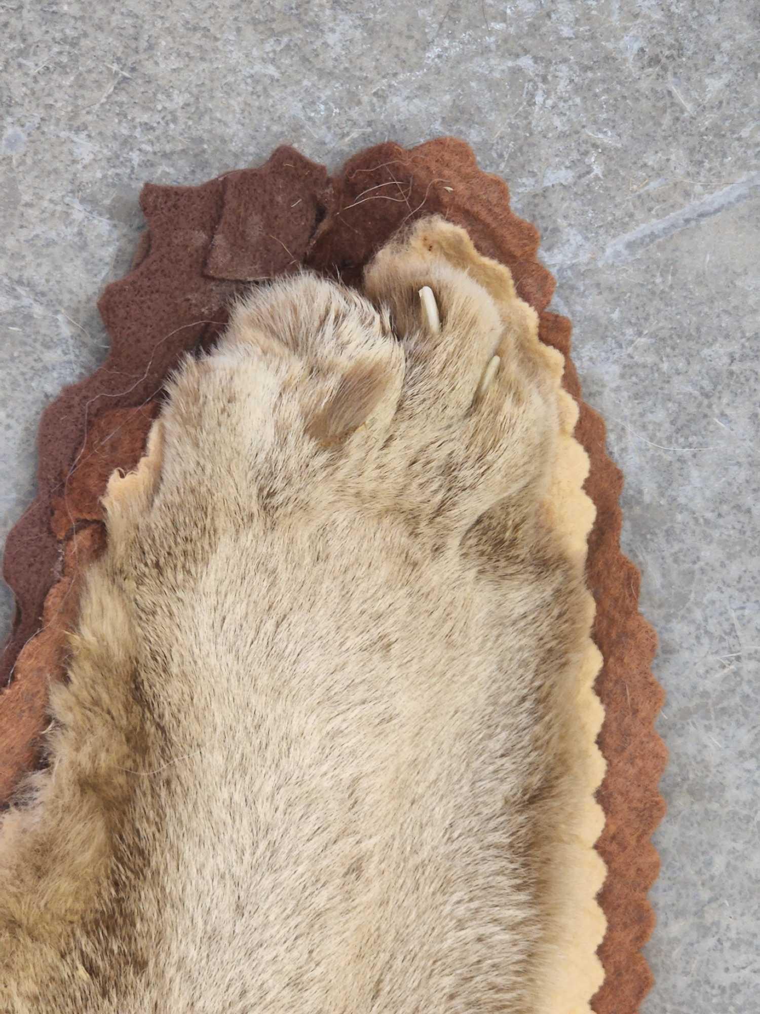 Mountain Lion Rug Taxidermy