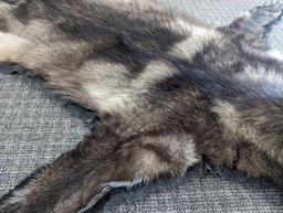 Beautiful Black Wolf Rug Taxidermy