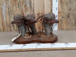 Triple Ostrich Head Taxidermy Mount