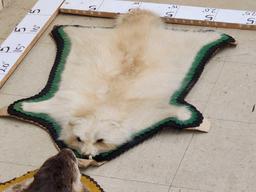 Albino Raccoon & Otter Rugs Taxidermy