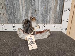 Squirrel In A Birch Bark Canoe Taxidermy