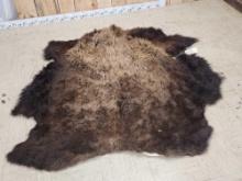 American Bison Buffalo Tanned Robe Taxidermy