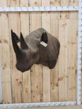 Reproduction Black Rhinoceros Shoulder Mount Taxidermy