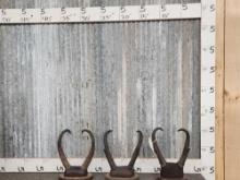 3 Sets Of Pronghorn Antelope Horns Taxidermy