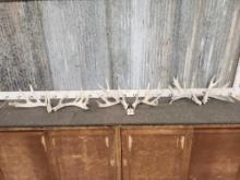 3 Sets Of Whitetail Shed Antlers