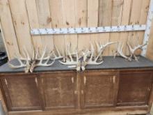 6 BIG Sets Of Whitetail Shed Antlers