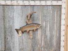 24" Trout Real Skin Fish Taxidermy