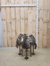 3 Raccoons Playing Cards Taxidermy