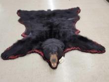 Big Canadian Black Bear Rug Taxidermy
